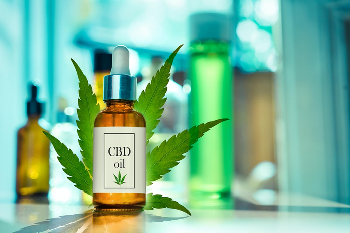 What You Need to Know About CBD if You Live in Florida