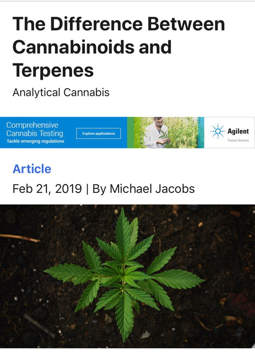 Weed Offers Cannabinoids and Terpenes, Know The Differences?