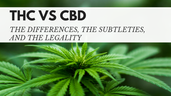 THC Vs. CBD: The Differences, The Subtleties, And The Legality Read ...