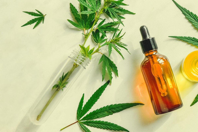 Healthy CBD Products from Health Hemp Outlet