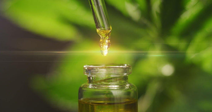 What Is CBD And How To Purchase