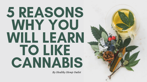 5 Reasons Why You Will Learn to Like Cannabis