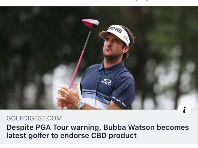 CBD and the PGA Tee Off with Bubba Watson
