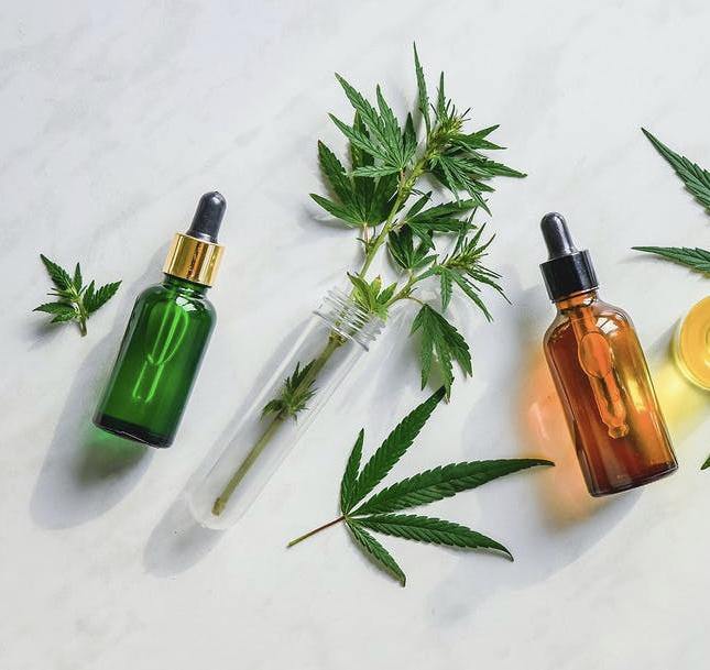 CBD for Beginners with CBD Dosage Info