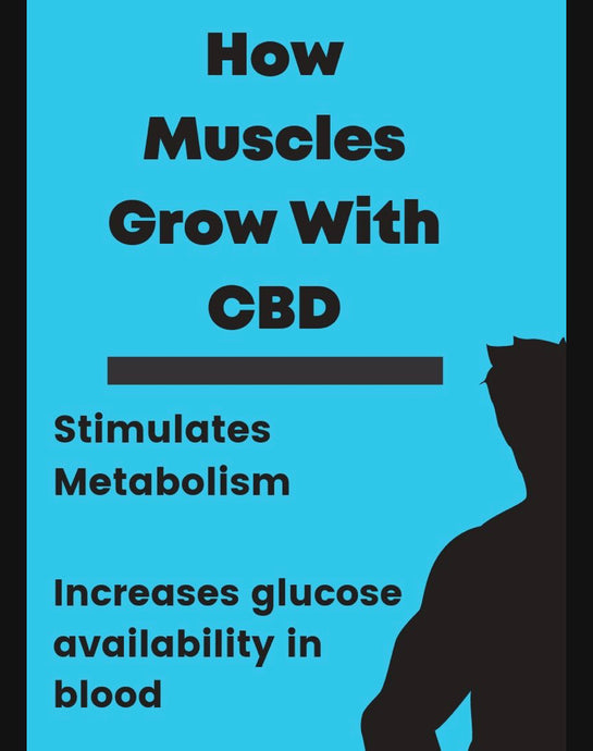 Is CBD Good Before or After a Workout?