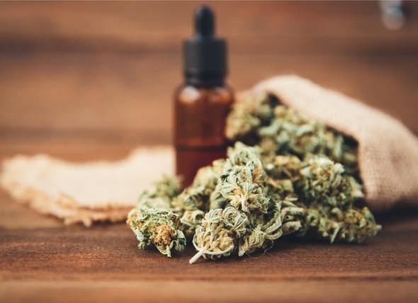 Cannabis Oil for Dogs: Everything You Need to Know from PetMD