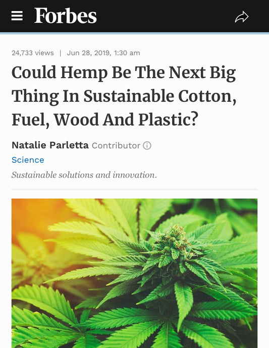 Could Hemp Be The Next Big Thing In Sustainable Cotton, Fuel, Wood And Plastic?