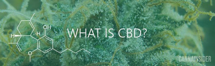 FREE VIDEO Education, What is CBD - Very Helpful Info in 101 terms