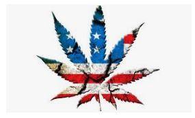 USA Pressured to End Cannabis Prohibition!