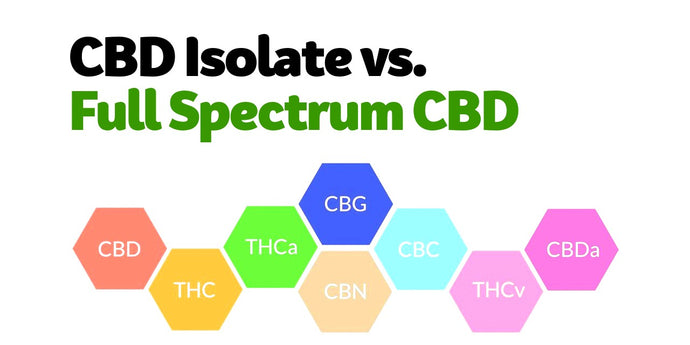 CBD Full Spectrum or Isolate - which is for you?