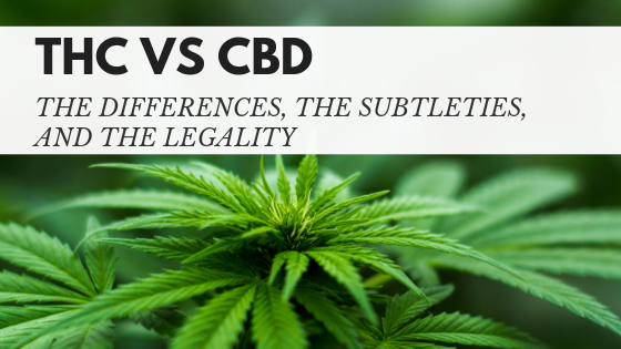 THC Vs. CBD: The Differences, the Subtleties, and the Legality