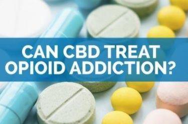 CBD to Help Combat the Opioid Crisis