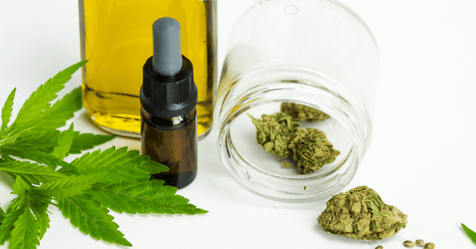 How CBD Can Help Keep Your Immune System Strong And Functional